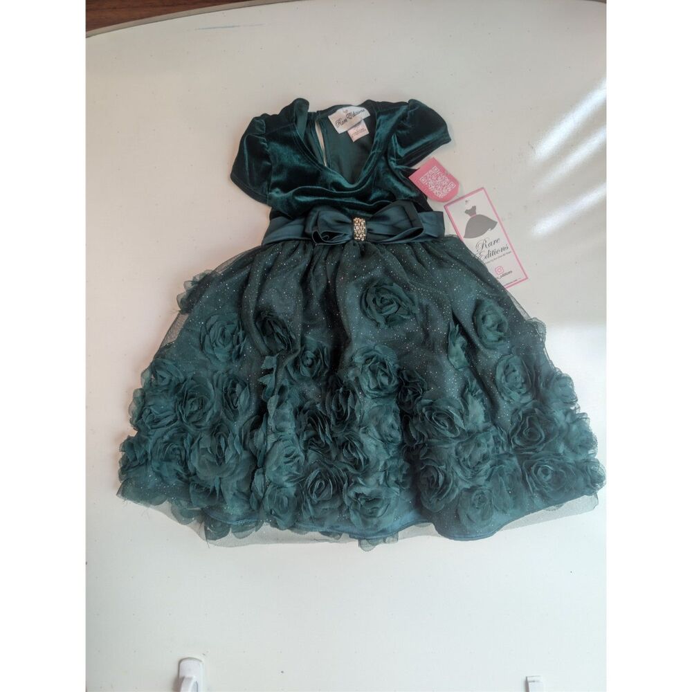 Rare Editions Girls Green Velvet & Rosette Tulle Special Occasion Dress 5T